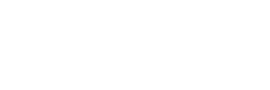 Nelu Colombia